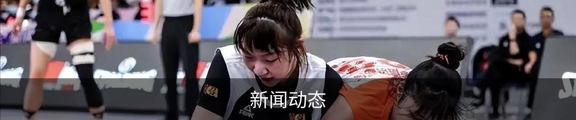 新闻动态